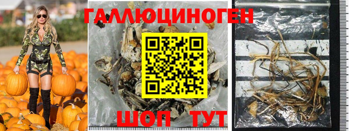 Псилоцибиновые грибы мицелий Нижнеудинск