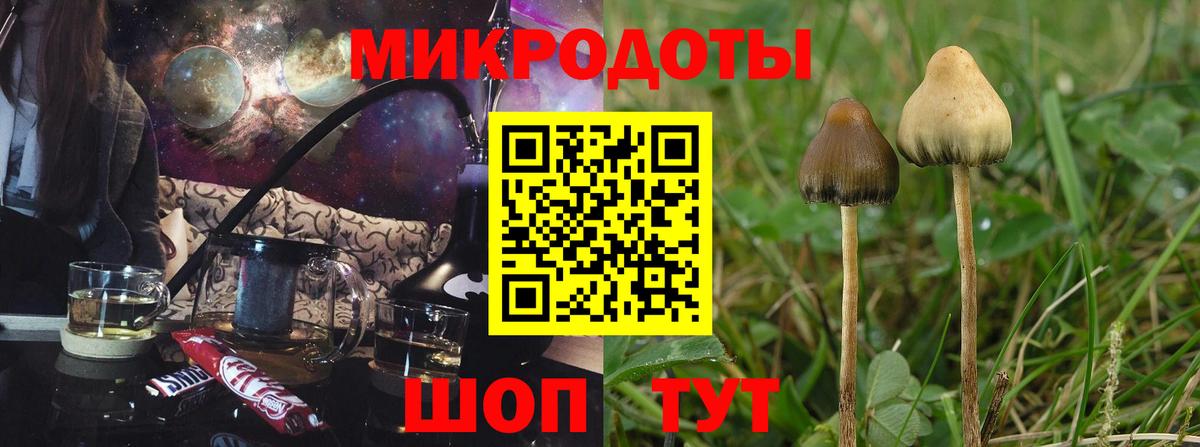 Псилоцибиновые грибы Psilocybine cubensis  Вход с VPN  Нижнеудинск  Галлюциногенные грибы Magic Shrooms 